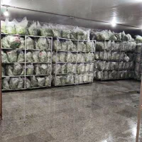 استخدام نیروی آقا و خانم  کارخانه سبزی پاک