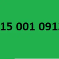 ۰۹۱۵-۰۰۱-۰۹۱۳