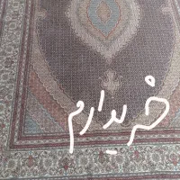 فرش ریز ماهی زمینه سرمه ای