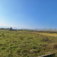 فروش زمین ۲۵۰ متری در ماسال|فروش زمین و ملک کلنگی|طاهرگوراب, |دیوار