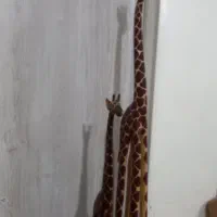 زرافه تزئینی چوبی ۲ عدد