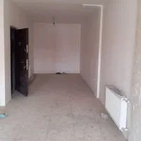 سند تک برگ کلید نخورده