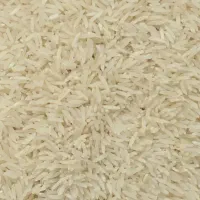 برنج فجر سوزنی