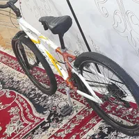 دوچرخه ویوا ۲۶|دوچرخه، اسکیت، اسکوتر|سوسنگرد, |دیوار