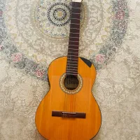 گیتار حرفه ای