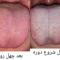 آموزش و استخدام درزمینه طب سنتی|خدمات آموزشی|تهران, زیبادشت|دیوار