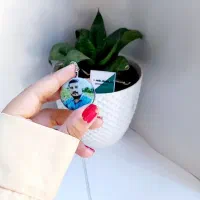 رزین اپوکسی|کلکسیون و سرگرمی|سقز, |دیوار