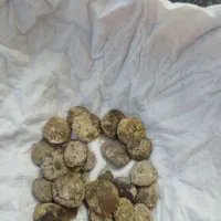 سنگهای قدیمی