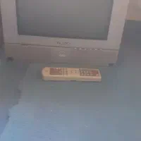 تلویزیون