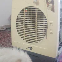 کولرپنکه ای و موتور کولر|کولر آبی|تربت‌حیدریه, پائین ولایت|دیوار