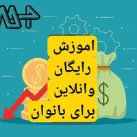کار با گوشی برای بانوان در حیطه طب سنتی