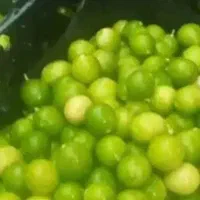 آبلیموی طبیعی|خوردنی و آشامیدنی|اصفهان, شاه پسند|دیوار