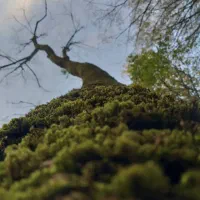 نویسندگی،تولید محتوا در زمینه‌ روان‌شناسی،رشدفردی