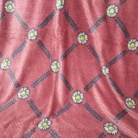 پتومسافرتی