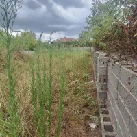 فروش زمین 400 متری با پروانه ساخت در احمدسرگوراب|فروش زمین و ملک کلنگی|احمدسرگوراب, |دیوار