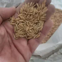 شالی فجر سوزنی ۹۰ روزه