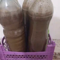 مهیاوه تازه و ناب بندرعباس 1.5لیتر 310