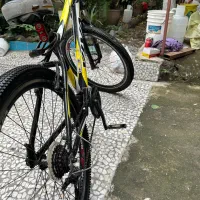 دوچرخه ویوا|دوچرخه، اسکیت، اسکوتر|رشت, دیلمان|دیوار