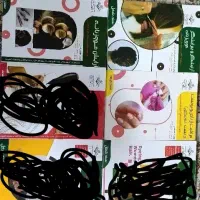 کتاب آرایش موی زنانه،آرایشگر موی زنانه،مانیکور