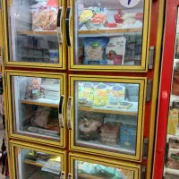 فریزر عمق ۸۰ در ۱۲۰ سانت ۶درب. موتور ۱اسب