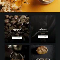 مدیریت حرفه‌ای سایت و بهینه‌سازی سئو برای کسب‌وکار|خدمات رایانه‌ای و موبایل|قزوین, |دیوار
