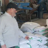 مرغوب ترین برنج هاشمی  گیلان مستقیم از شالیزار.|خوردنی و آشامیدنی|کرج, فاز ۱ مهرشهر|دیوار