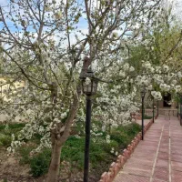 اجاره ویلا روزانه سهیلیه کردان زعفرانیه(ستاره شب)|اجارهٔ کوتاهمدت ویلا و باغ|کرج, فاز ۴ مهرشهر|دیوار