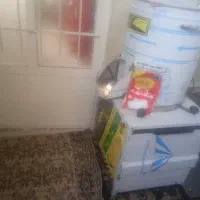 سبزی پاک کردن وخردکردن