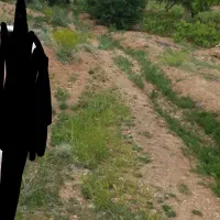 زمین باغی بدون آب خیرآباد|فروش دفتر صنعتی، کشاورزی، تجاری|معصومیه, |دیوار