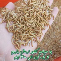 میلورم ، سوپرورم|لوازم جانبی حیوانات|تهران, وردآورد|دیوار