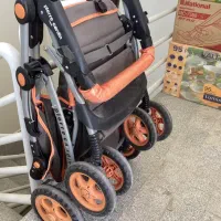 کالسکه پیرگاردین فرانسه|کالسکه و لوازم جانبی|اصفهان, رزمندگان|دیوار