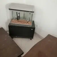 فروش اکواریوم کامل