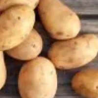 فروش سیب زمینی ۵ گونی