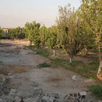 باغ چهار دیواری / سندتک برگ / دهشاد/شهریار /تهران|فروش خانه و ویلا|شهریار, دهشاد پائین|دیوار