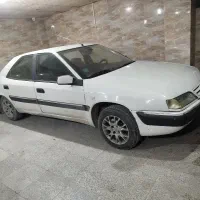 زانتیا 81فابریک