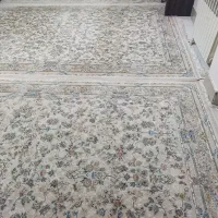 فرش 1200شانه تراکم 3600طرح نیلوفر|فرش|مهاباد (آذربایجان غربی), |دیوار