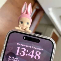 فیگور شبتاب  ، چارم بگ اختصاصی ،