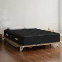 تشک اونیکس