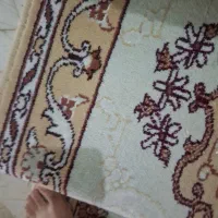 کناره قالی مشهد تمام نخ|گلیم، جاجیم، گبه|مشهد, موسوی قوچانی|دیوار