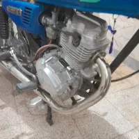فروشی هست|پرنده|شیراز, ده پیاله|دیوار