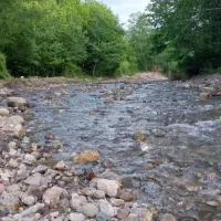 اجاره ویلا جنگلی دربست  جای امن