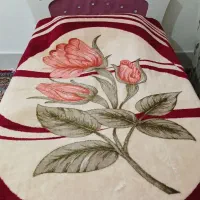 تخت خواب باتشک|تخت و سرویس خواب|بروجرد, |دیوار