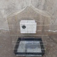 قفس|لوازم جانبی حیوانات|رفسنجان, |دیوار