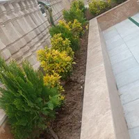 کلاکوب ، باغ ، ویلا . باغچه ، منزل مسکونی بافت|فروش خانه و ویلا|مشهد, کلاکوب|دیوار