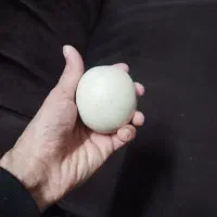سنگ الماس