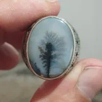 انگشتر شجر با رکاب عادل ایران