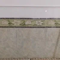 محافظ تلویزیون 55