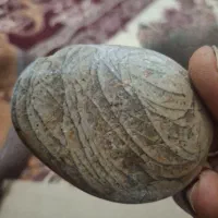 شهاب سنگ|کلکسیون اشیاء عتیقه|جیرفت, |دیوار