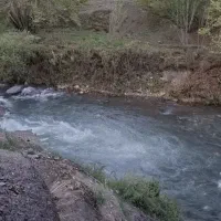زمین ۷۵۰متر ویلایی الماس زیاران طالقان داخل بافت