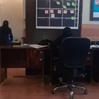 راننده خانم برای دفتر بیمه